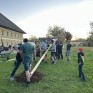 30er Maibaum
