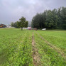 Schwerer Traktorunfall