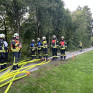 Branddienstabzeichen und Jugend GOLD