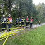 Branddienstabzeichen und Jugend GOLD