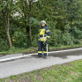 Branddienstabzeichen und Jugend GOLD