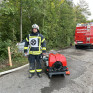 Branddienstabzeichen und Jugend GOLD